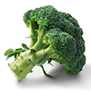 broccoli-klein